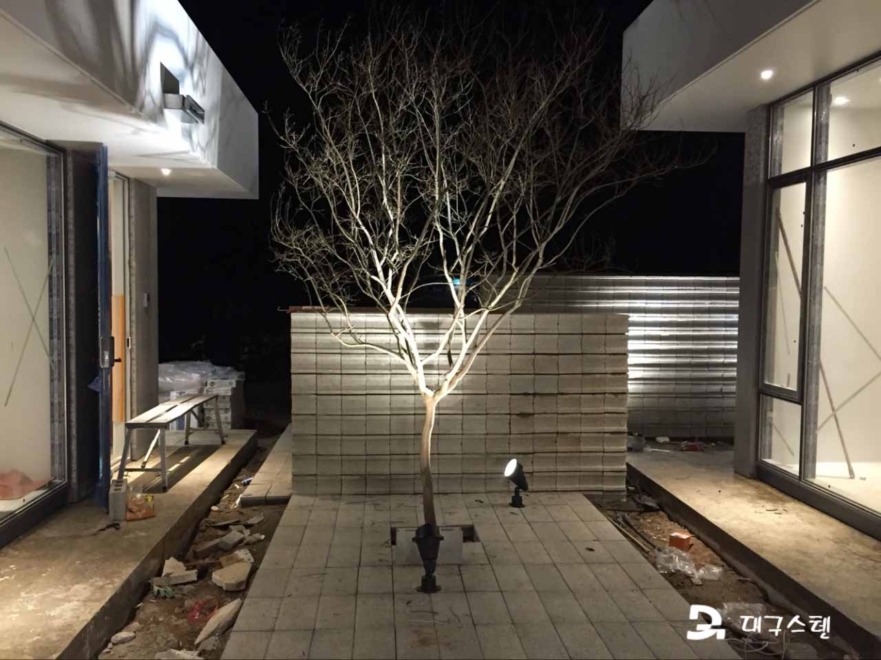 돌고래 횟집